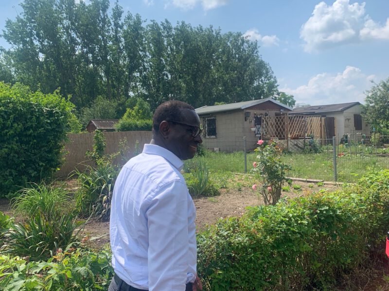 Karamba zieht am Zollrain von Laube zu Laube